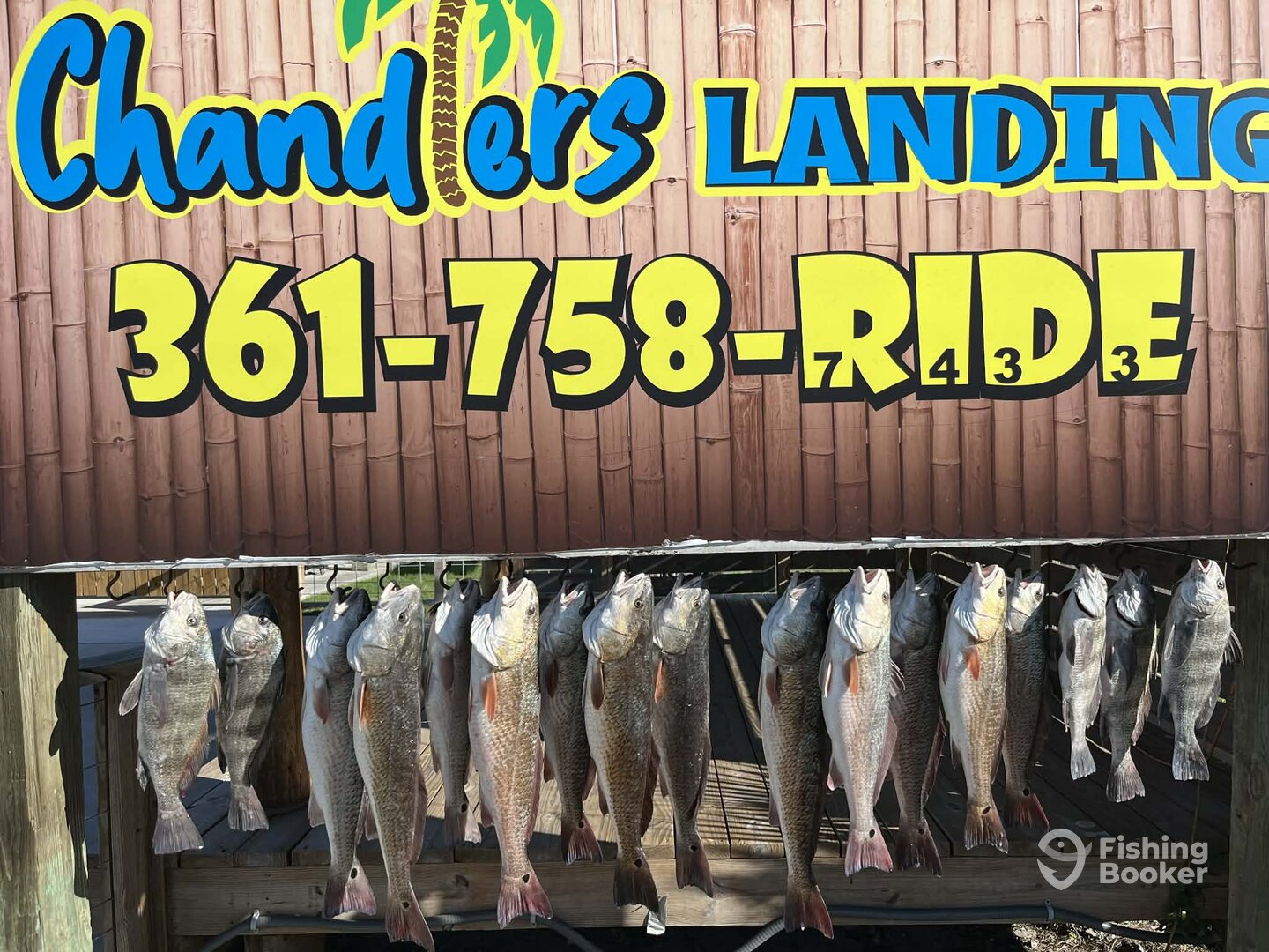 Port Aransas Report Photo 0