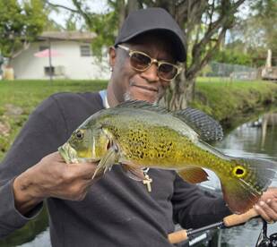 Weston Report Photo 1