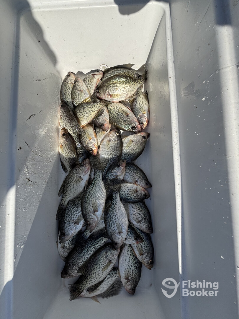 South Carolina Report Photo 0