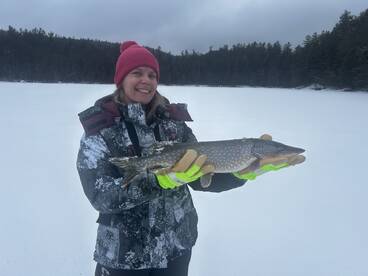 New York Report Photo 1