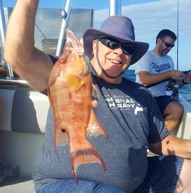 Bay Pines Report Photo 2