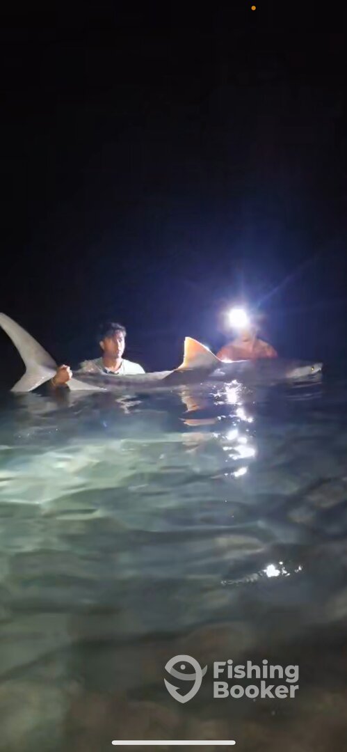 Boca Raton Report Photo 0