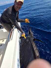 OFFSHORE MAGIC: The Sails are Putting 