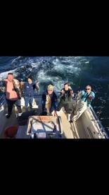 Montauk Report Photo 1