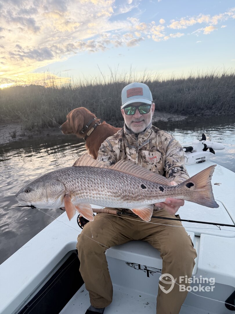 St. Helena Island Report Photo 0