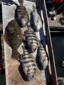 Holmes Beach Report Photo 1