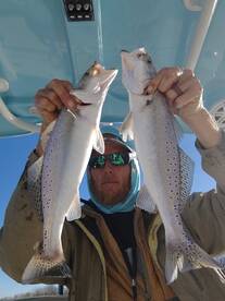 Texas City Report Photo 1