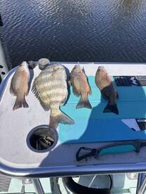 Key Largo Report Photo 2