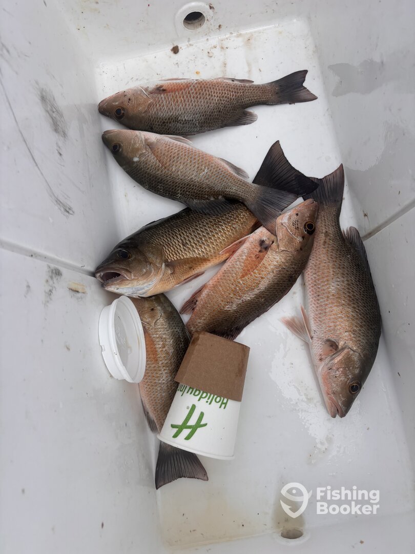 Upper Keys Report Photo 0