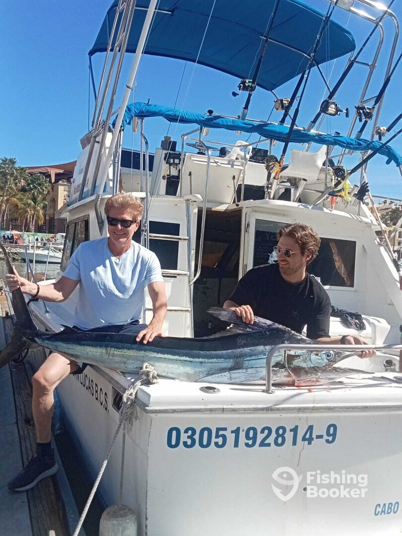 Cabo San Lucas Report Photo 0