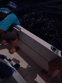 Costa Rica Report Photo 2