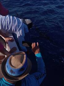 Herradura Report Photo 2