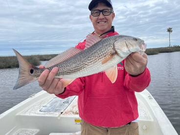 Cedar Key Report Photo 1