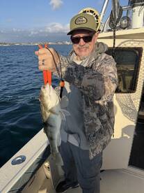 San Diego Report Photo 1