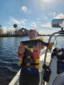 DeBary Report Photo 4