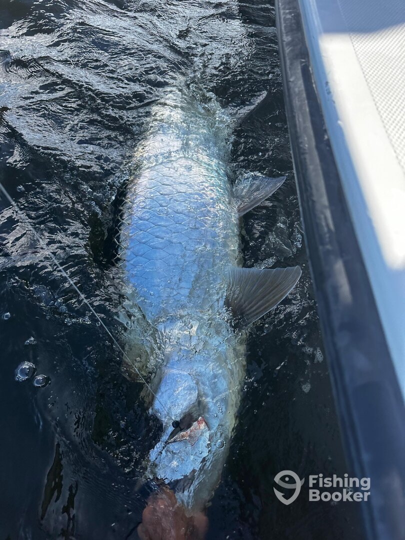 San Juan Report Photo 0