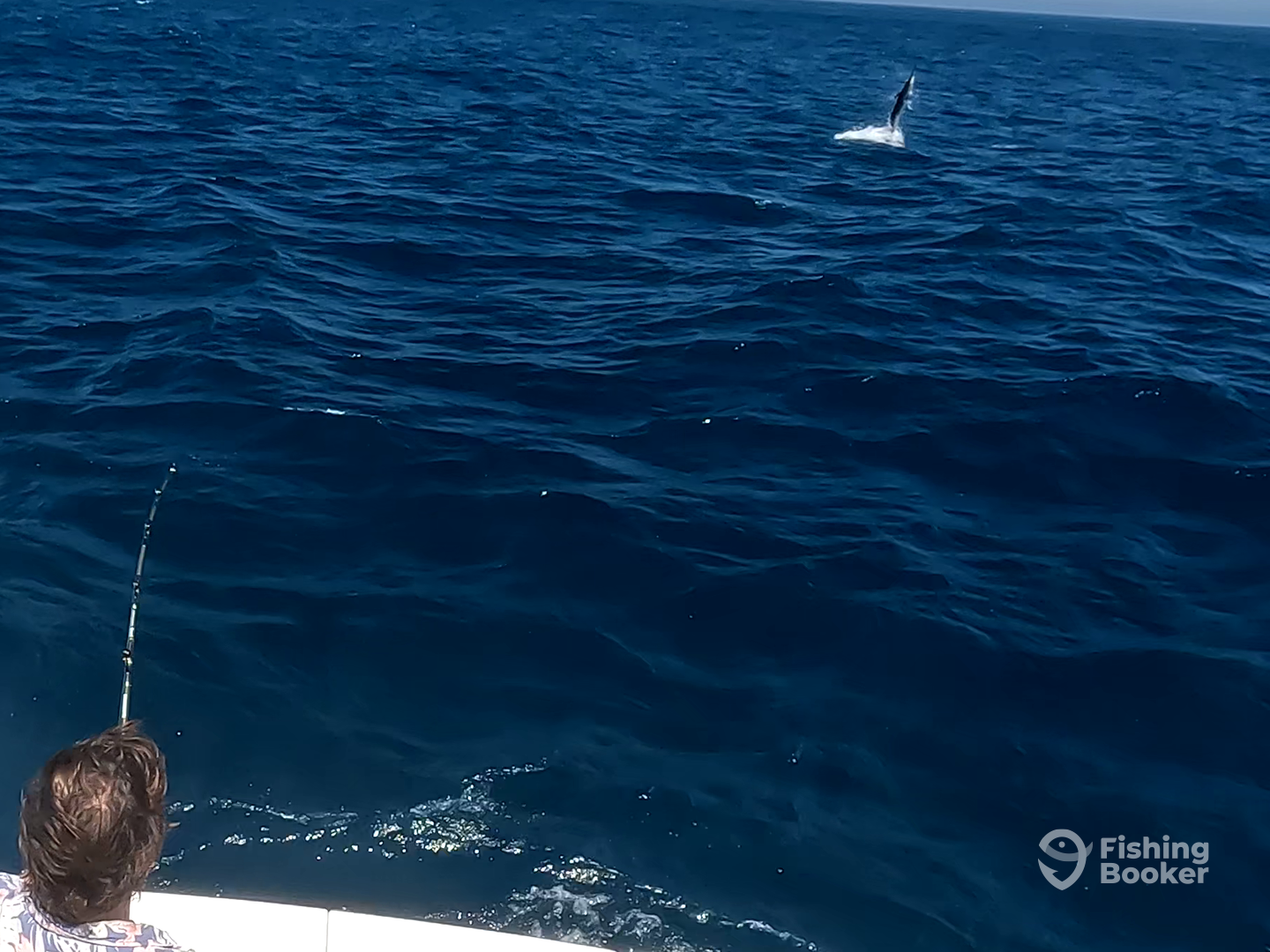 New South Wales Report Photo 0