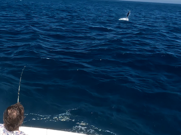 Ambition Report 25th.January’26