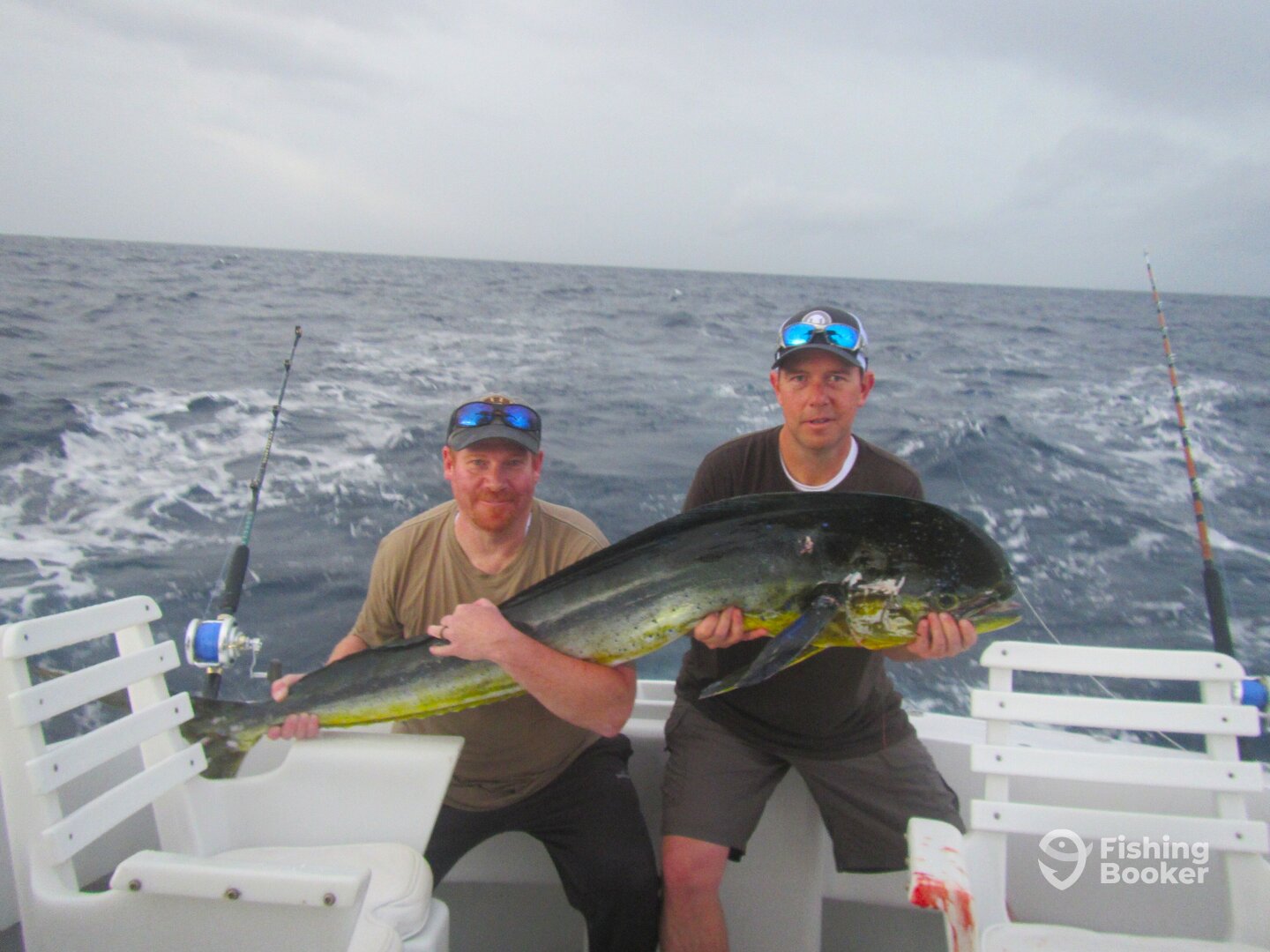 Cabo San Lucas Report Photo 0