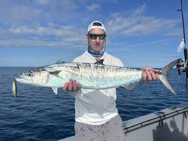 Naples Report Photo 2