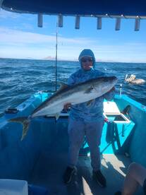 Mexico Report Photo 1