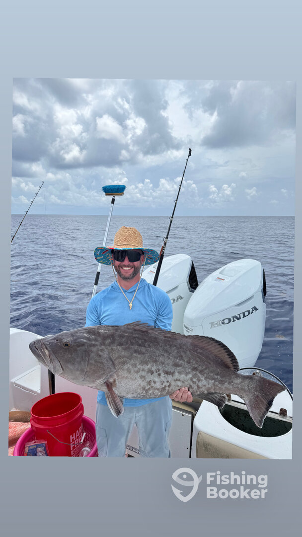 Grouper fishing 