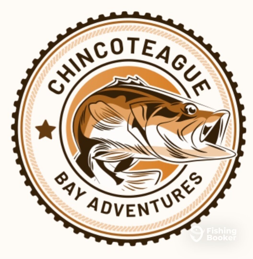 Assateague Island Report Photo 0