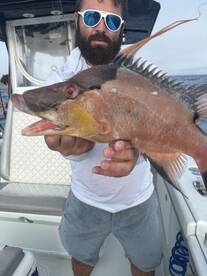 Madeira Beach Report Photo 2