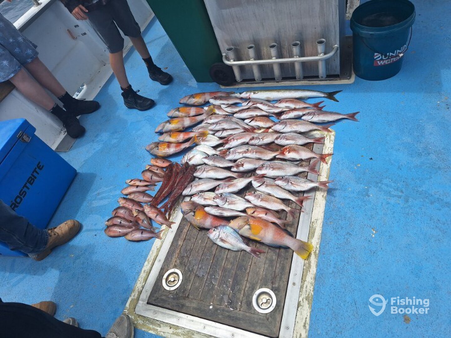 Melbourne Report Photo 0