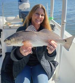 Melbourne Report Photo 2