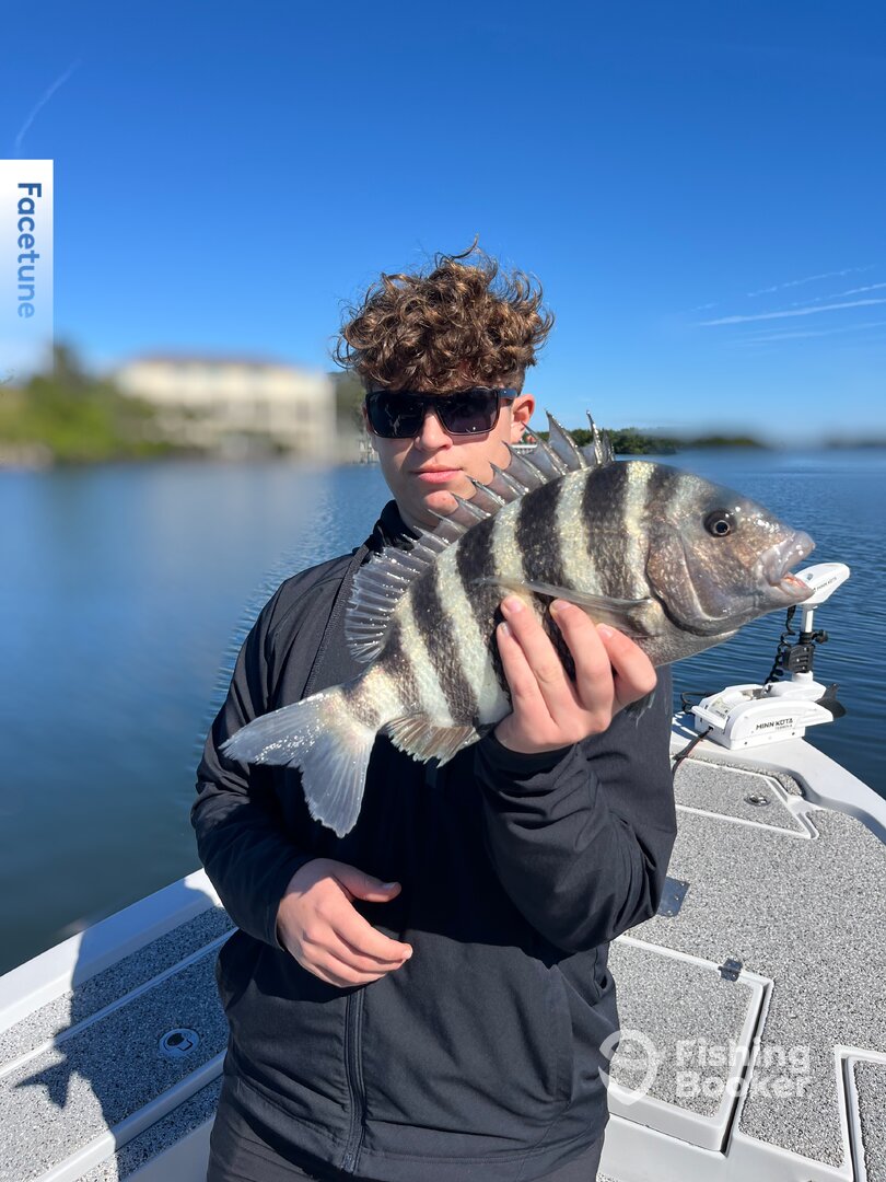 Tampa Report Photo 0