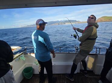 Madeira Report Photo 1