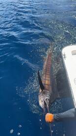 Puntarenas Province Report Photo 1