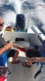 Los Cabos Report Photo 1