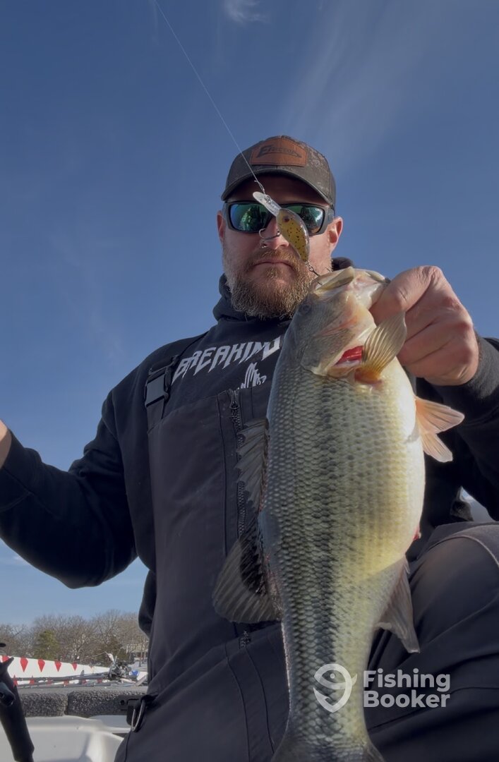 Table Rock Lake Report Photo 0