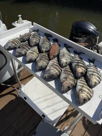 Siesta Key Report Photo 1