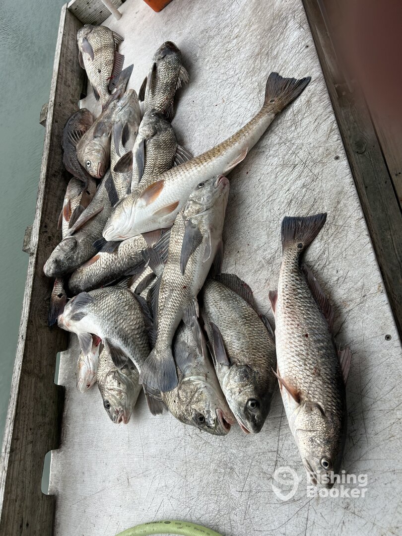 Rockport Report Photo 0