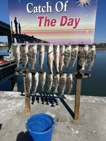 Rockport Report Photo 1