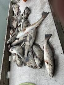 Its been really good ??