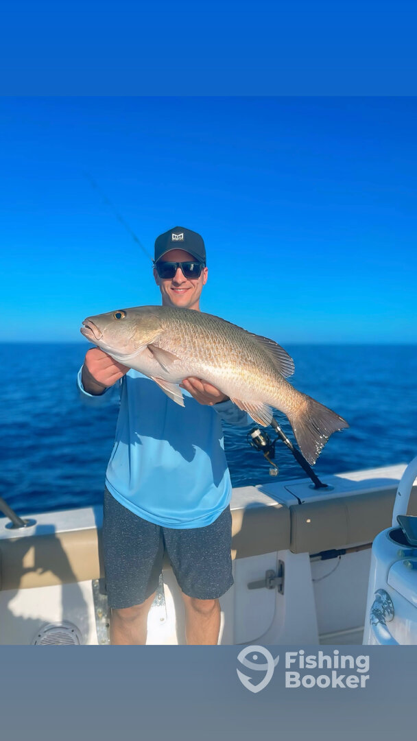 Mangrove Snapper Fishing Fort Myers, FL