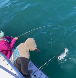 Some photos from last April