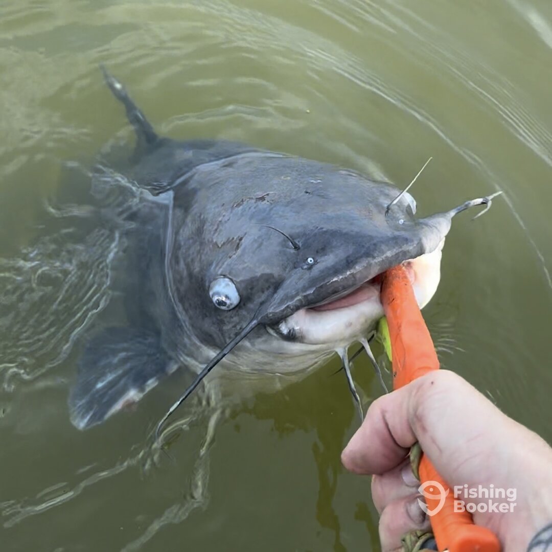 West Livingston Report Photo 0