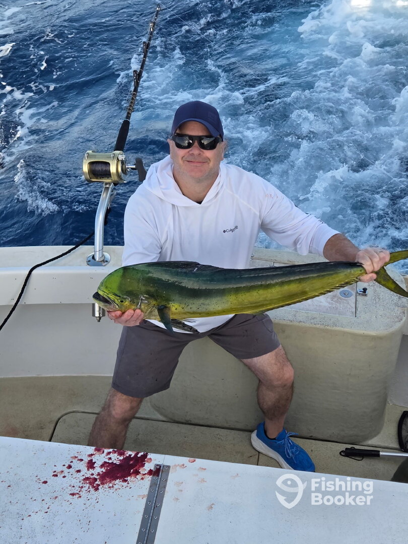 Haleiwa Report Photo 0