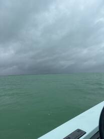 Great fishing time to run