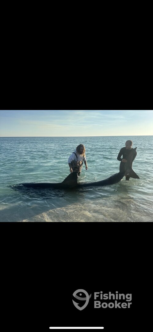 Florida Report Photo 0