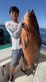 La Cruz De Huanacaxtle Report Photo 1