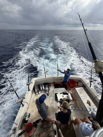 Sand Island Report Photo 4