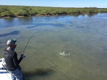 Orlando Report Photo 2