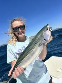 Tamarindo Report Photo 2