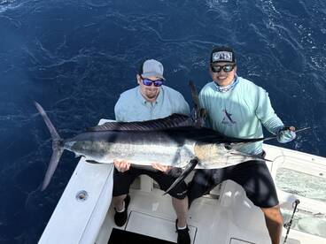 Baja California Sur Report Photo 1